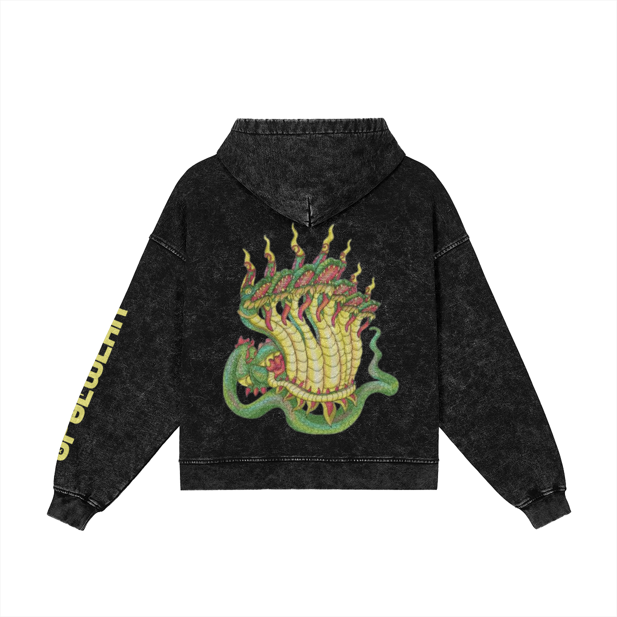 0-YGB-Back Side